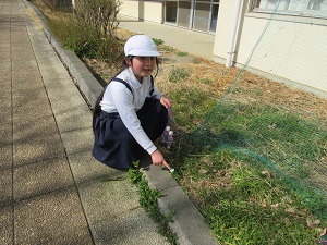 IMG_9742 IMG_9742