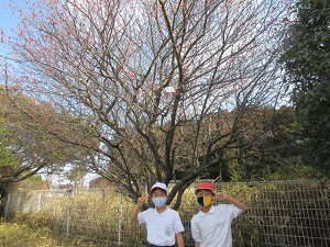 IMG_9749 IMG_9749