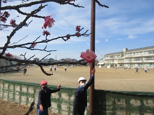 IMG_9750 IMG_9750