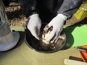 IMG_9766 IMG_9766
