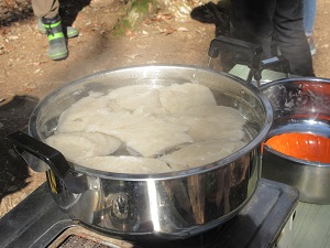 IMG_9774 IMG_9774