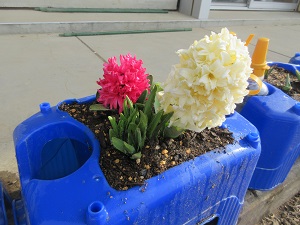 IMG_9920 IMG_9920