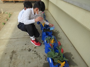 IMG_9919 IMG_9919