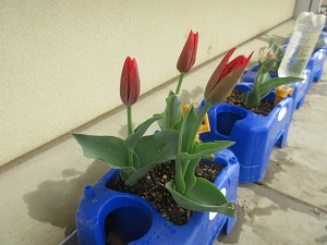 IMG_9922 IMG_9922