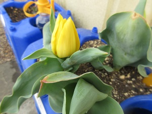 IMG_9923 IMG_9923