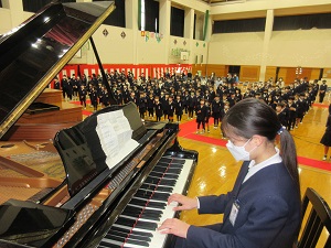 IMG_9930 IMG_9930