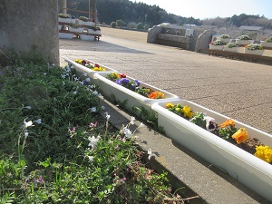 IMG_9947 IMG_9947