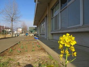 IMG_9943 IMG_9943