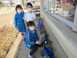 IMG_9940 IMG_9940