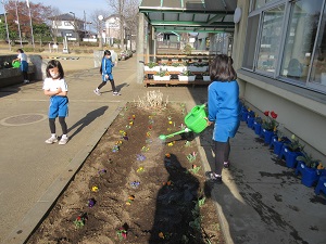 IMG_9942 IMG_9942