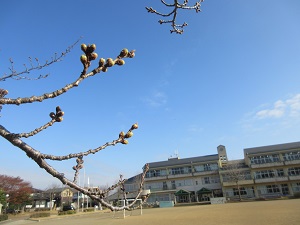 IMG_9945 IMG_9945
