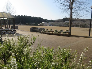 IMG_9948 IMG_9948