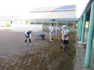 IMG_9980 IMG_9980