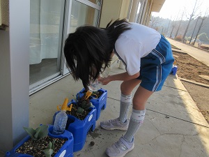 IMG_9983 IMG_9983