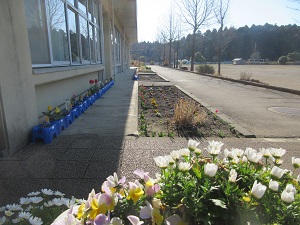 IMG_0028 IMG_0028