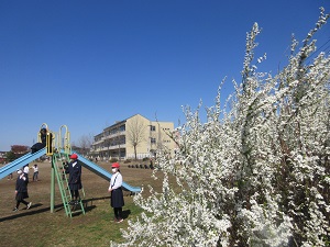 IMG_0031 IMG_0031