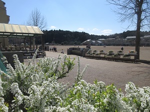 IMG_0034 IMG_0034
