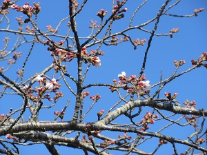 IMG_0049 IMG_0049