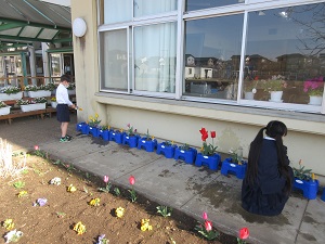 IMG_0043 IMG_0043