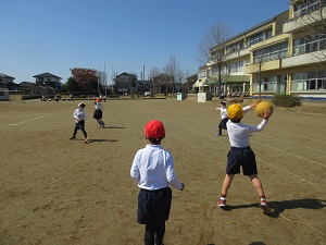 IMG_0061 IMG_0061