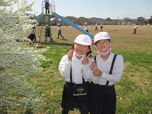 IMG_0062 IMG_0062
