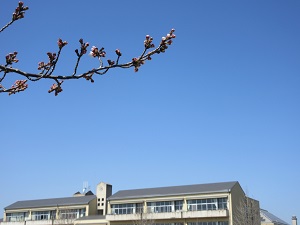 IMG_0068 IMG_0068