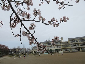 IMG_0109 IMG_0109