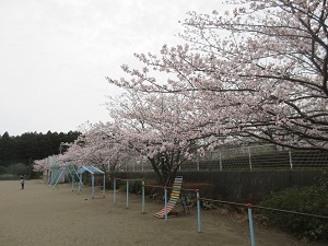 IMG_0110 IMG_0110
