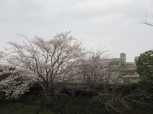 IMG_0115 IMG_0115