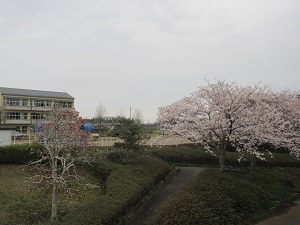IMG_0117 IMG_0117