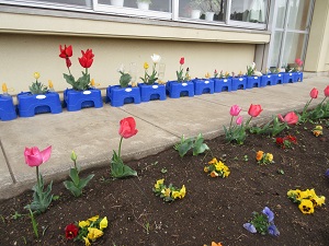 IMG_0119 IMG_0119