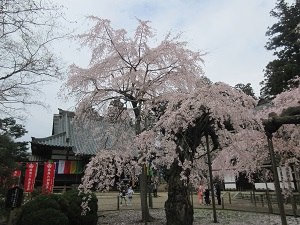 IMG_0122 IMG_0122