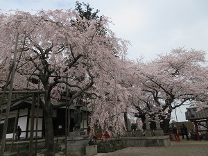 IMG_0123 IMG_0123