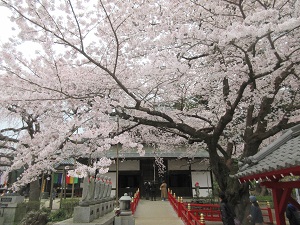 IMG_0125 IMG_0125