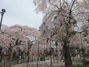 IMG_0126 IMG_0126