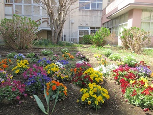 IMG_0127 IMG_0127
