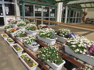IMG_0128 IMG_0128