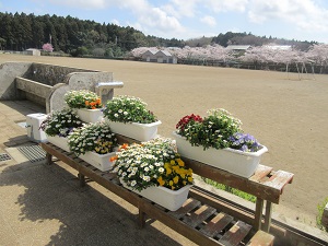 IMG_0129 IMG_0129