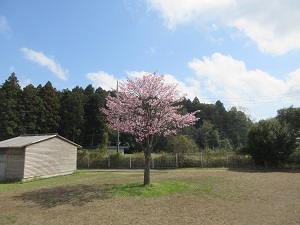 IMG_0131 IMG_0131
