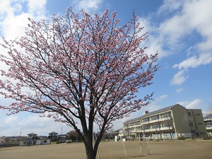 IMG_0130 IMG_0130