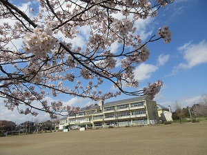 IMG_0134 IMG_0134