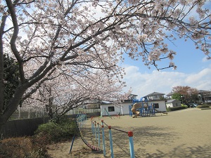 IMG_0135 IMG_0135