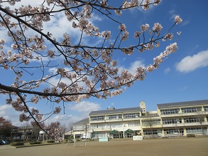 IMG_0136 IMG_0136