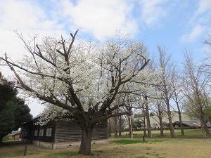 IMG_0139 IMG_0139