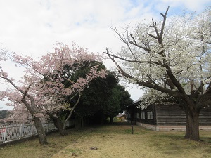 IMG_0140 IMG_0140