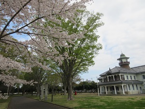 IMG_0142 IMG_0142