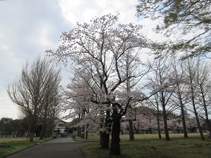 IMG_0143 IMG_0143