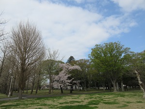 IMG_0145 IMG_0145
