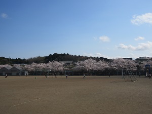 IMG_0147 IMG_0147