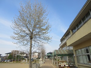 IMG_0172